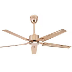 Quạt trần 5 cánh Daikisu DC50B12V