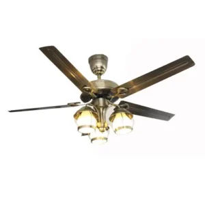Quạt trần đèn trang trí Daikisu DC50A04