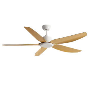 Dct Fan 131