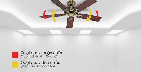 Lưu bản nháp tự động